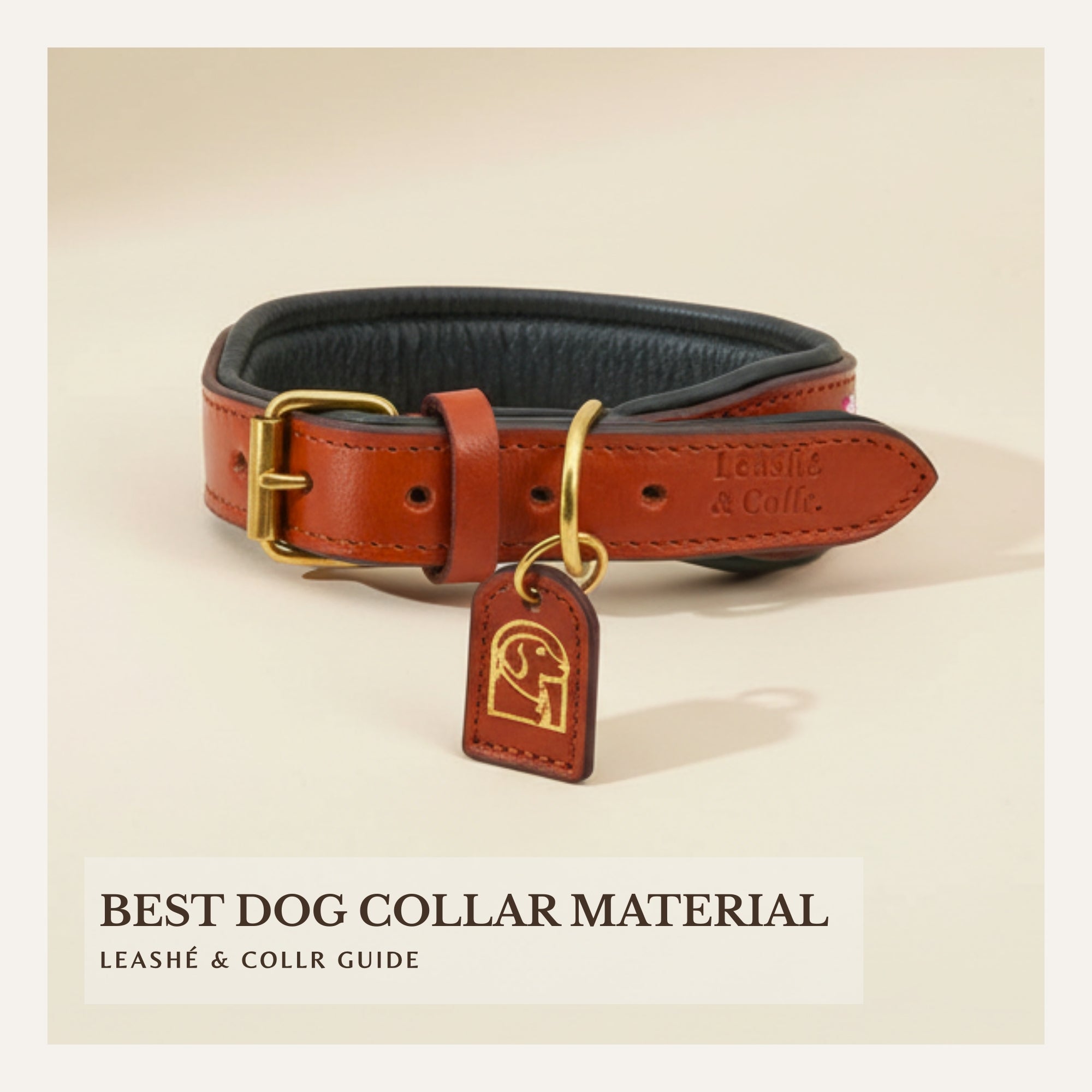 Leashé & Collr Guide: What Is the Best Material for a Dog Collar ...