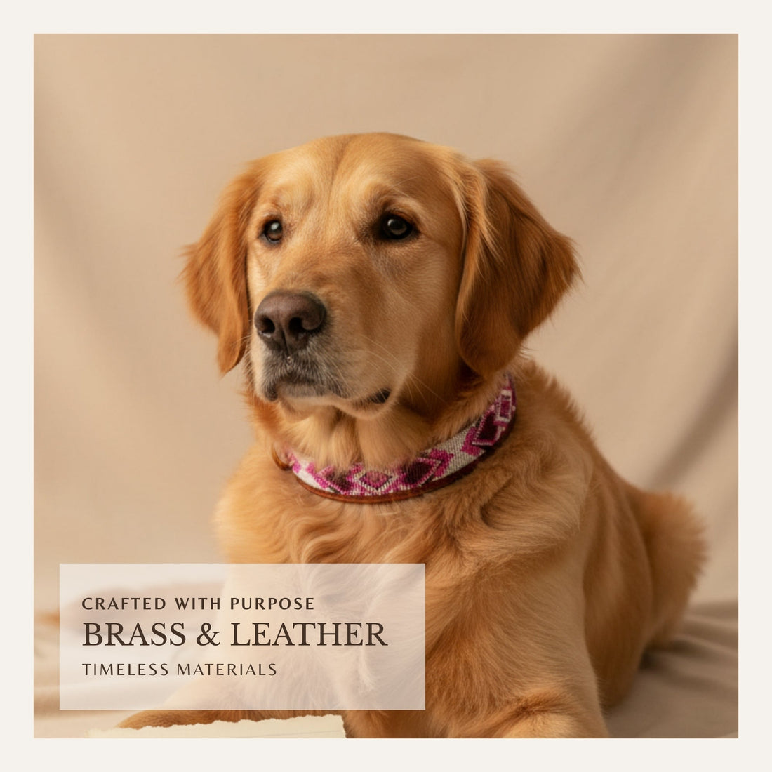Golden retriever wearing a handcrafted leather dog collar with glass bead detailing.
