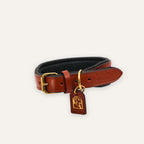 Close view of Amora handcrafted beadwork dog collar pattern