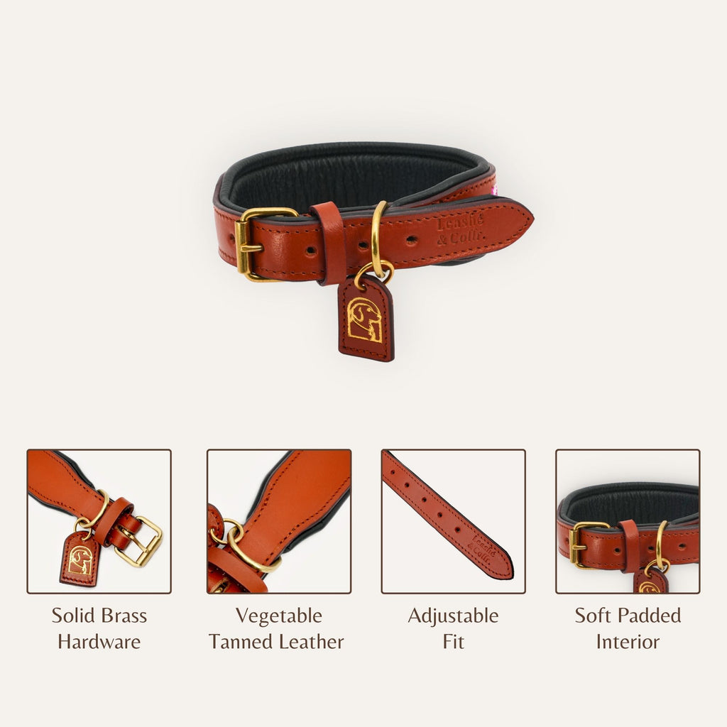 Side angle of Amora beadwork dog collar craftsmanship