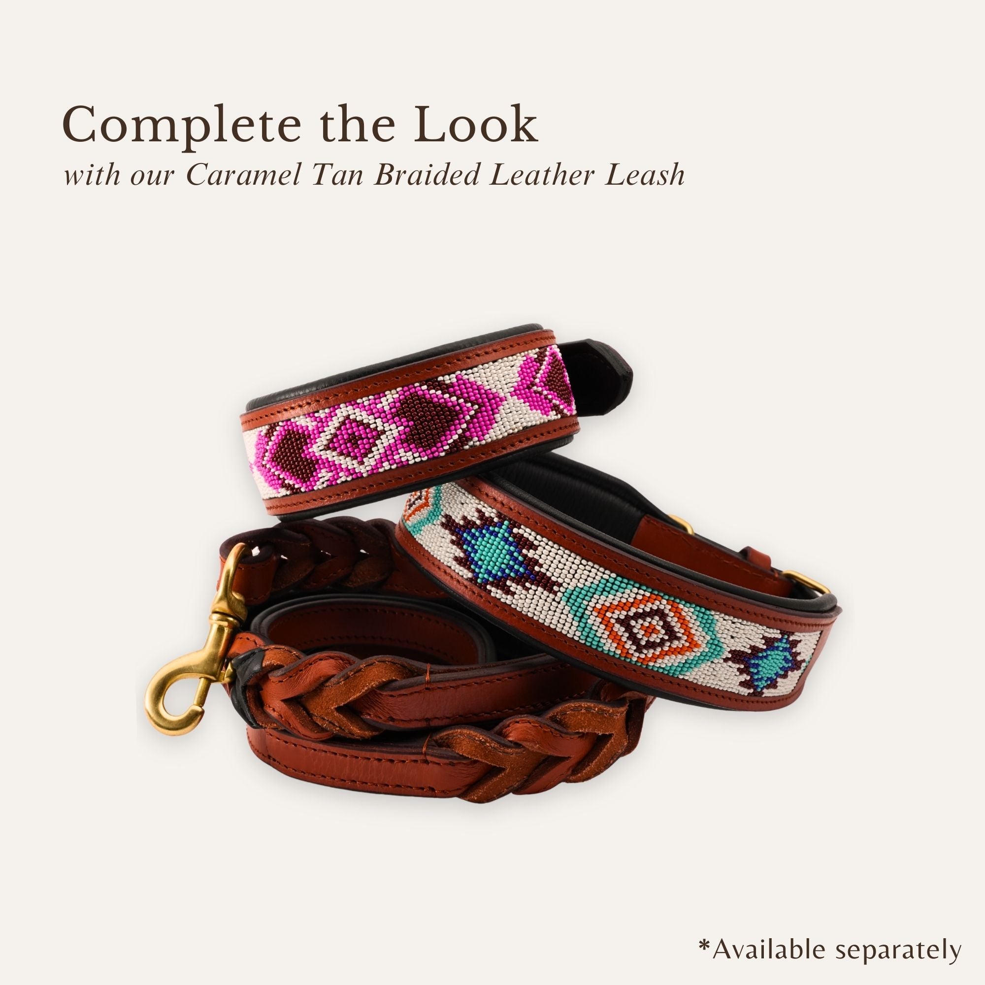 Amora beadwork dog collar showing overall structure and fit