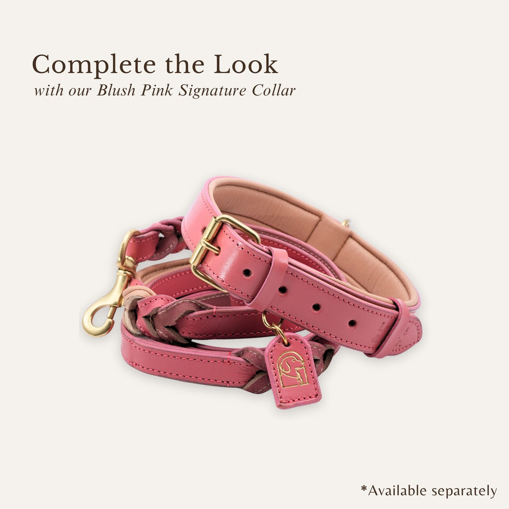 blush pink braided leather dog leash with matching pair of dog collar