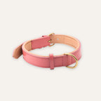 Side view of blush pink leather dog collar