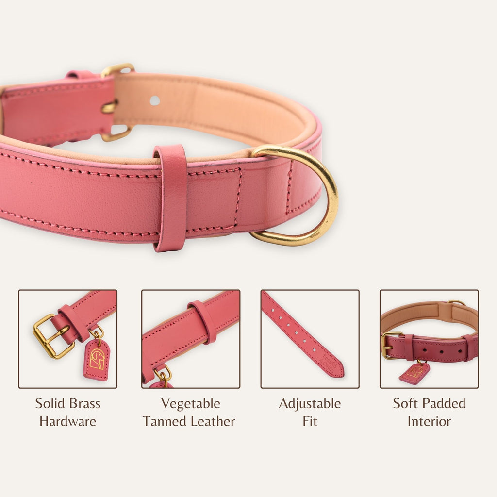 Close-up of leather texture on blush pink dog collar