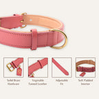 Close-up of leather texture on blush pink dog collar