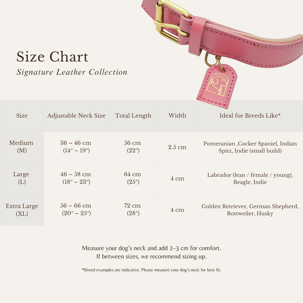 Size chart showing measurements for blush pink dog collar