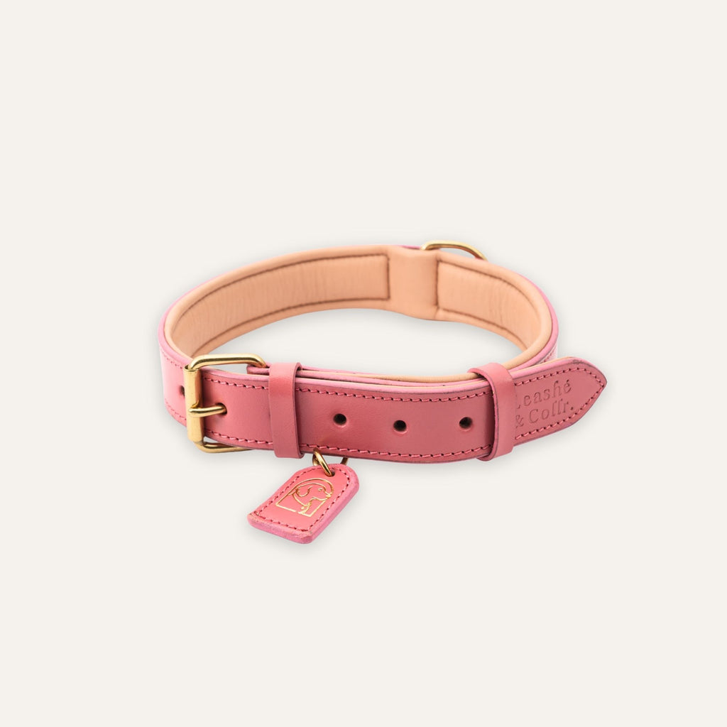 Blush pink dog collar showing buckle and strap finish