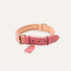 Blush pink dog collar showing buckle and strap finish