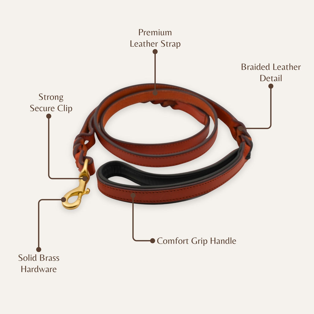 Close-up of caramel tan braided leather dog leash texture