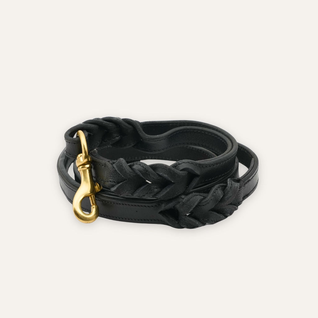 Classic black braided leather dog leash with brass clasp