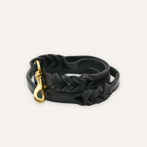 Classic black braided leather dog leash with brass clasp