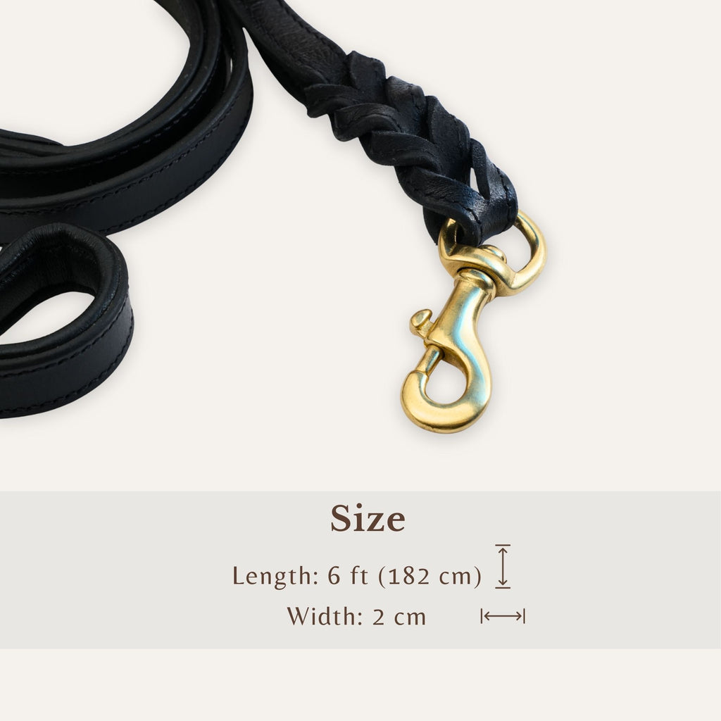 Side view of braided leather dog leash with clasp