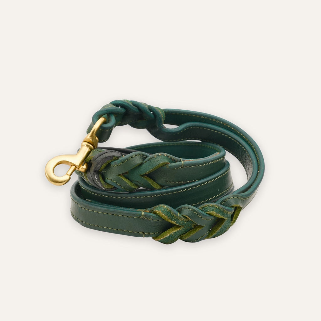 Shadow green braided leather dog leash with brass clasp