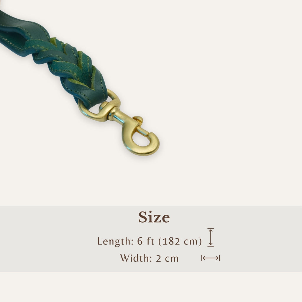 shadow green braided leather dog leash Solid brass clasp detail on black leather dog leash
