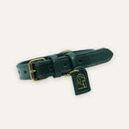 Shadow green leather dog collar with brass buckle
