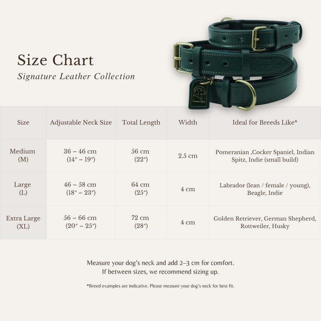 Size chart showing measurements for shadow green dog collar