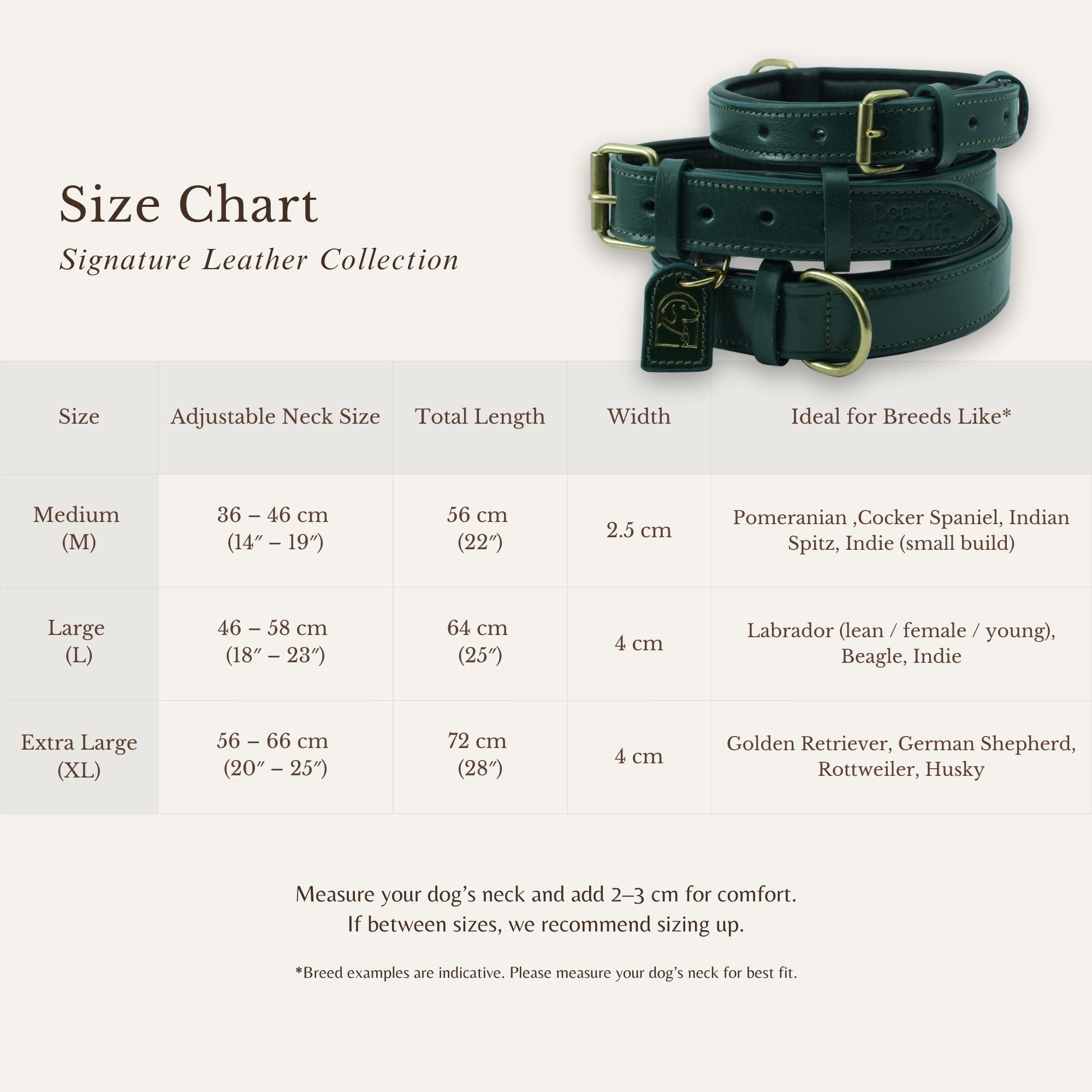 Size chart showing measurements for shadow green dog collar