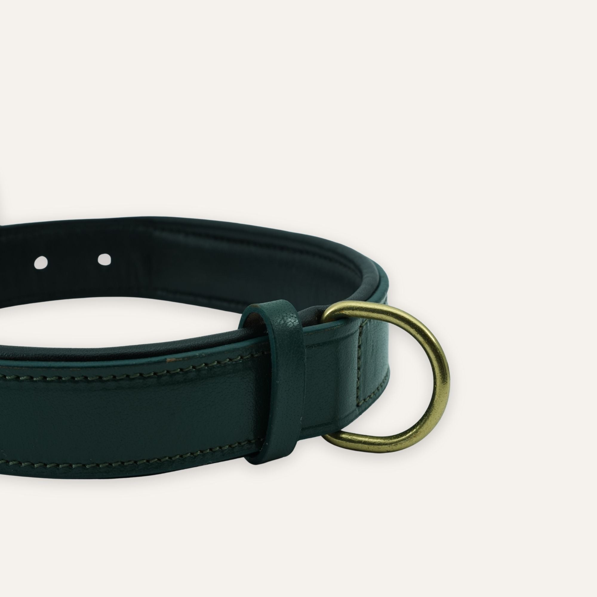 Shadow green dog collar showing strap and buckle details