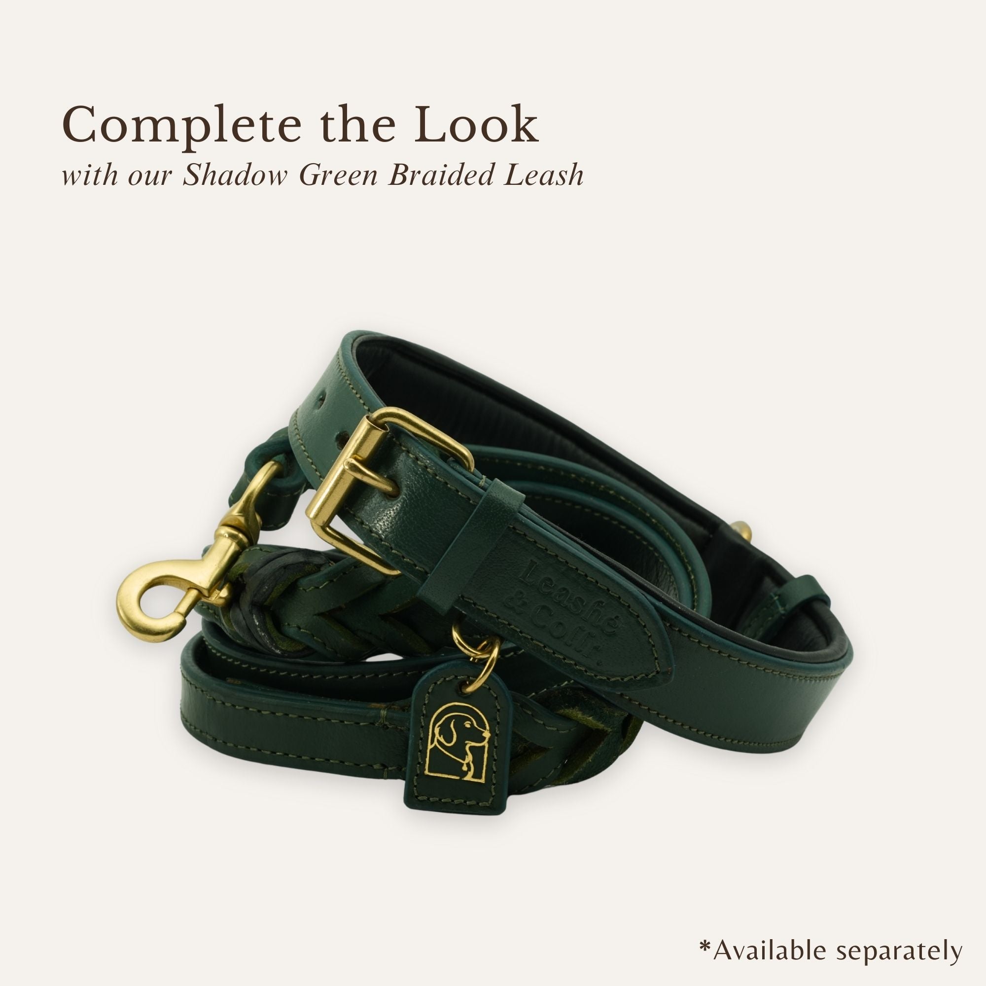 Shadow green leather dog collar styled with matching leash