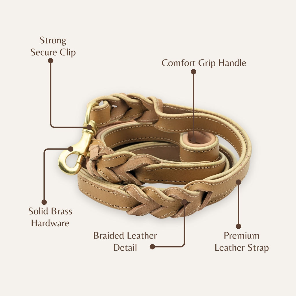 Close-up of braided leather texture on soft beige dog leash