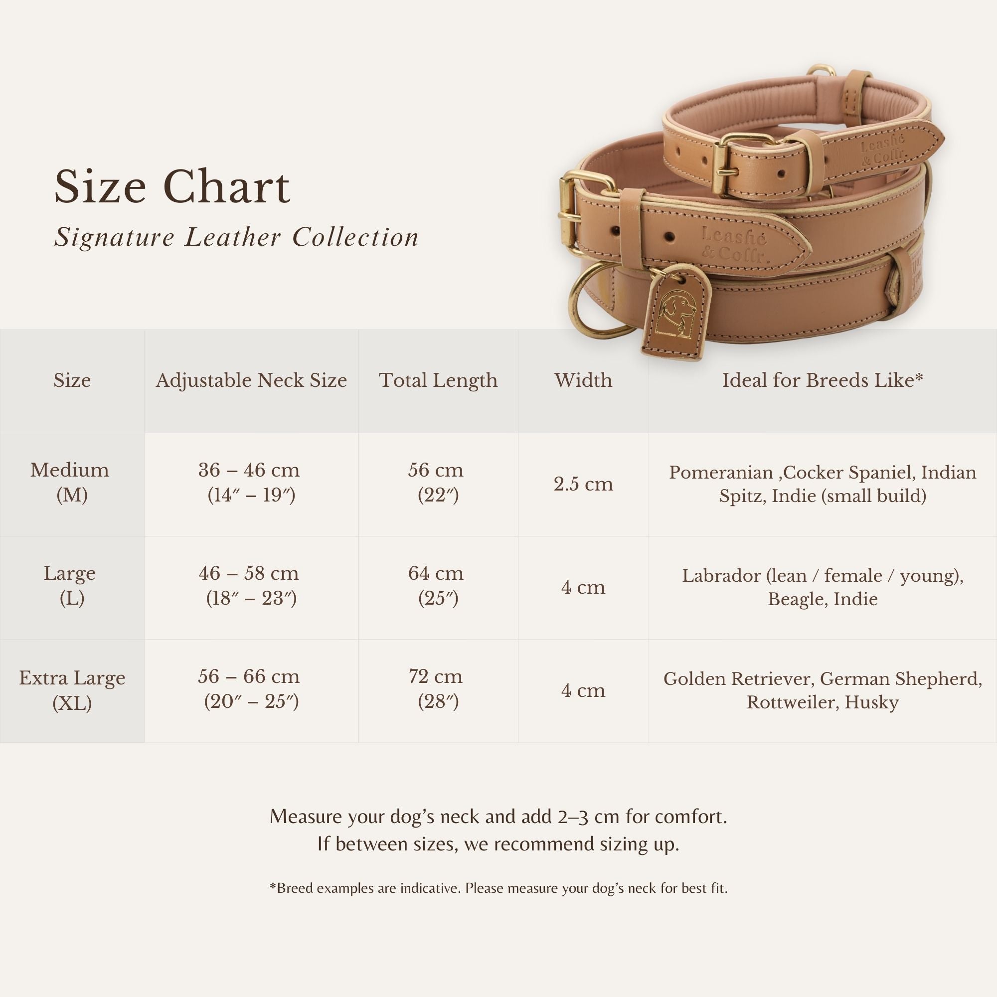 Size chart showing measurements for soft beige dog collar
