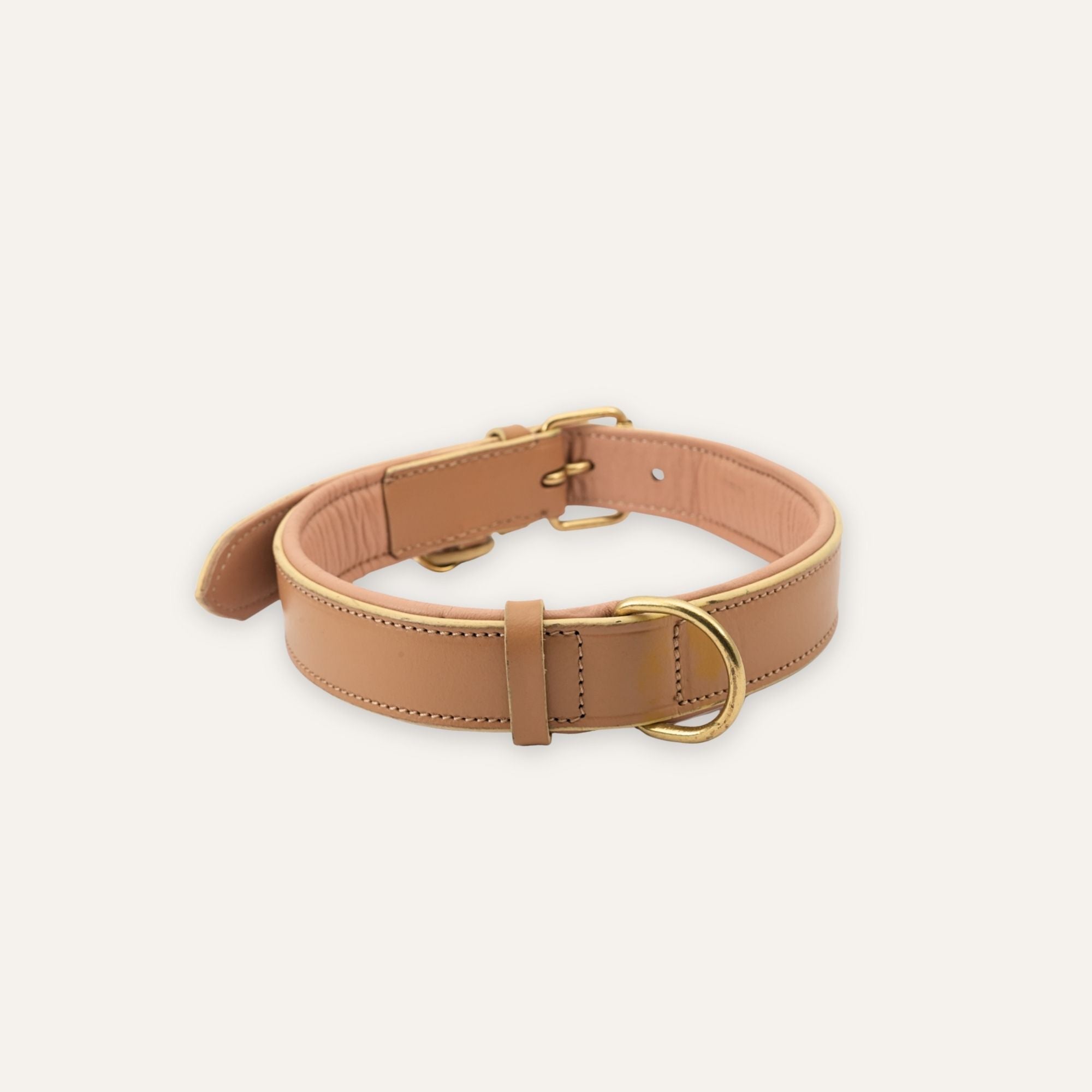 Soft beige dog collar showing buckle and strap finish