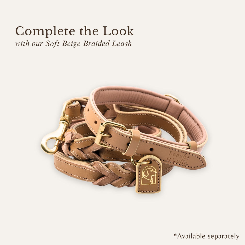 Soft beige leather dog collar styled with matching leash