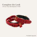 true red braided leather dog leash with matching pair of collar