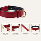 Close-up of leather texture on true red dog collar