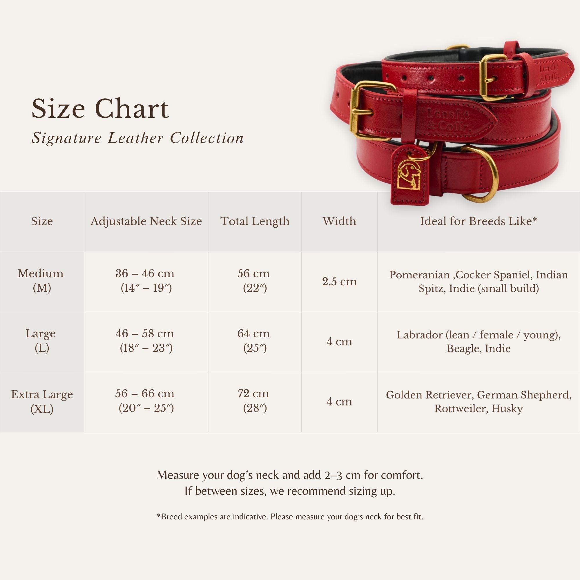 Size chart showing measurements for true red dog collar
