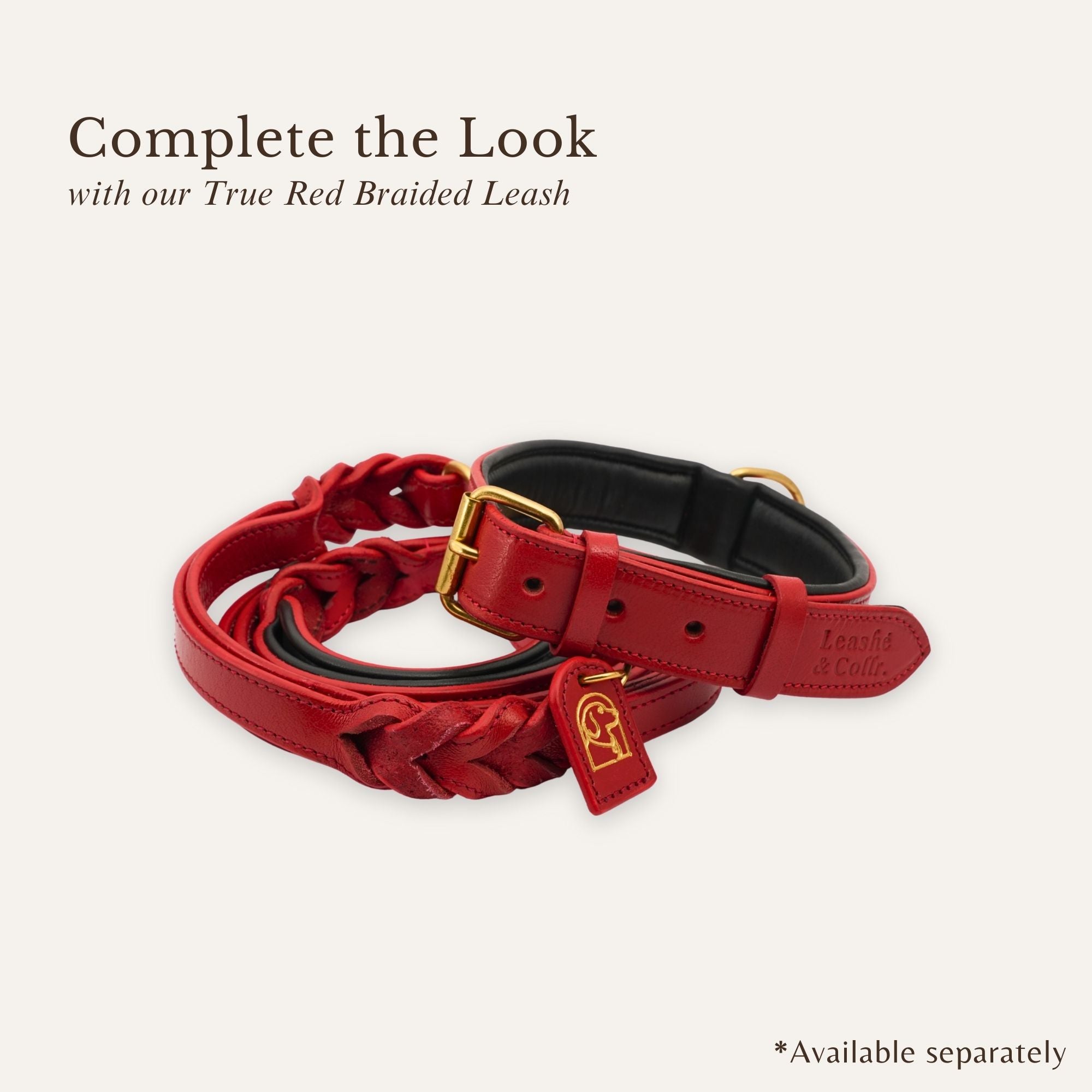 true red leather dog collar styled with matching leash